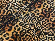 Polster leopard digital - leopard,