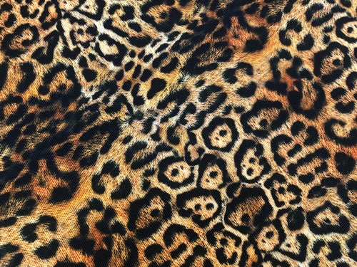 Polster leopard digital - polster,