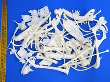 Bastelknochen, Bruchware im