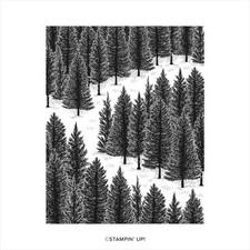 Stampin Up Stempelset FRAGRANT FOREST, wunderschöner Hintergrund mit Wald