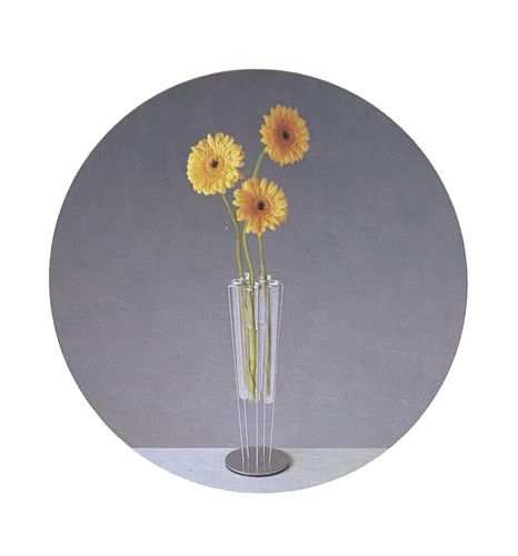 Vase mit reagenzgläser - mit, und