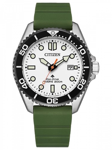 Citizen bn0265 00a promaster - bn0265-00a,
