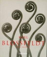 Karl Blossfeldt: Photographs (Albums) von Blossfeldt, Ka... | Buch | Zustand gut