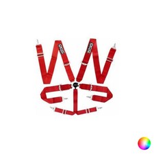 OCC Motorsport 6-Punkt