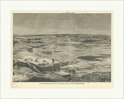 Prof piglheims panorama d - piglheims,