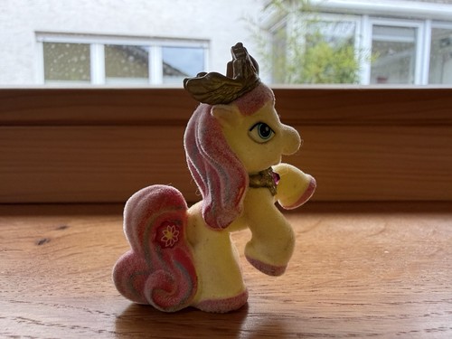 Konvolut simba filly - konvolut,