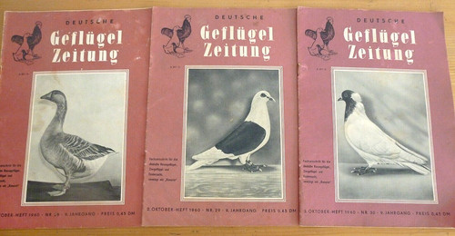 Ausgaben zeitschrift - 3,