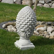 Pinienzapfen Pinien Zapfen