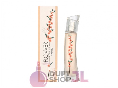 Kenzo flower ikebana mimosa - flower,
