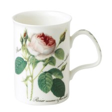 Becher Lancaster Redoute Roses