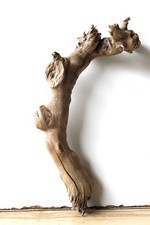 Treibholz Schwemmholz