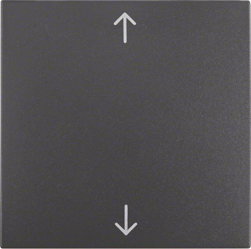 Berker 16201616 wippe fach - berker, 1-fach