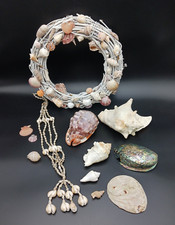 Muschel Sammlung, Dekoration