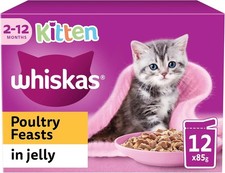 Whiskas Junior Geflügelauswahl in Gelee 48 x 85 g 1,02 kg (4er Pack) 