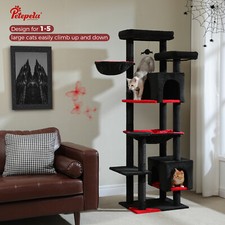 PETEPELA Kratzbaum Große