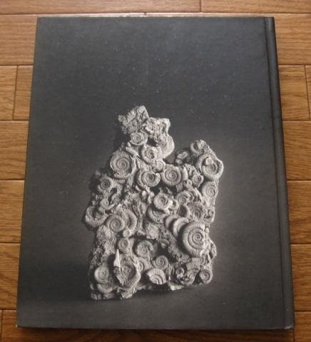 Hiroshi sugimoto the - hiroshi, after