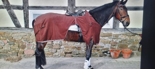 Ausreitdecke - , m