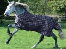 BUSSE Paddockdecke Turn Design