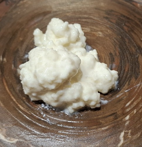 Angebot milchkefir 15g für - *angebot*, milchkefir,