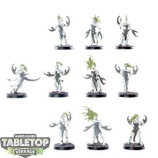 Chaos Daemons - 10 Daemonettes of Slaanesh - bemalt