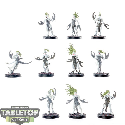 Chaos daemons 10 daemonettes - daemons,