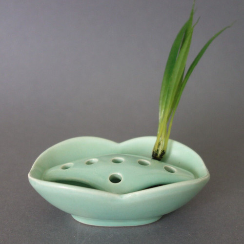 Süße ikebana - süße,