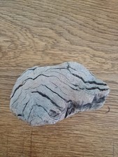 treibholz schwemmholz aus dem Atlantik