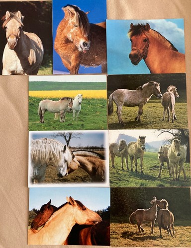 Pferdepostkarten pferd d - 9, ak