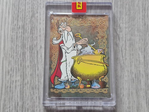 Panini asterix sine tempore - asterix,