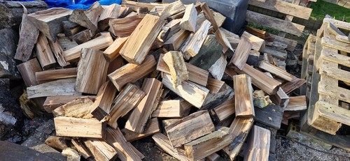 Buche eiche kaminholz - eiche,
