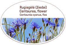Centaurea Blume Kräuter Gesunder Tee/Dermatologische Erkrankungen/Harn und Genital/