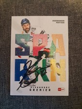 DEL playercards 2025/26 Spark