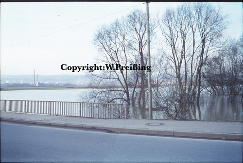 Repro ansicht foto hochwasser - repro, ansicht/foto