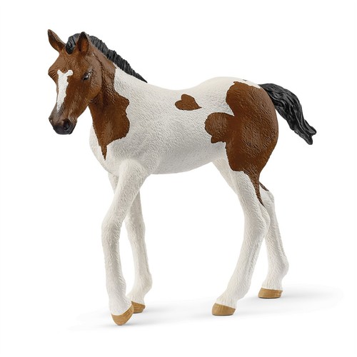 Paint horse fohlen 14899 - paint,
