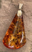 Fischland Bernstein Anhänger