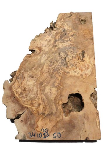 Oliven wurzelholz holz für - 1x,