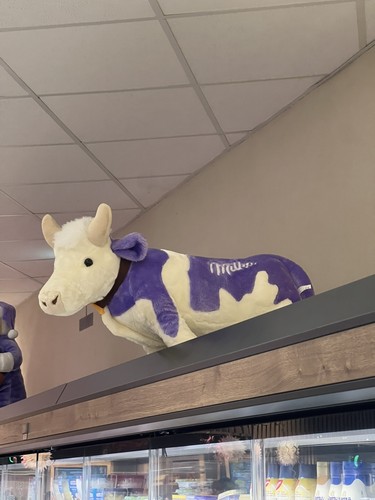 Milka kuh kuscheltier lila - kuh,
