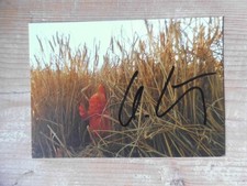 Original otmar hörl - original, kunst