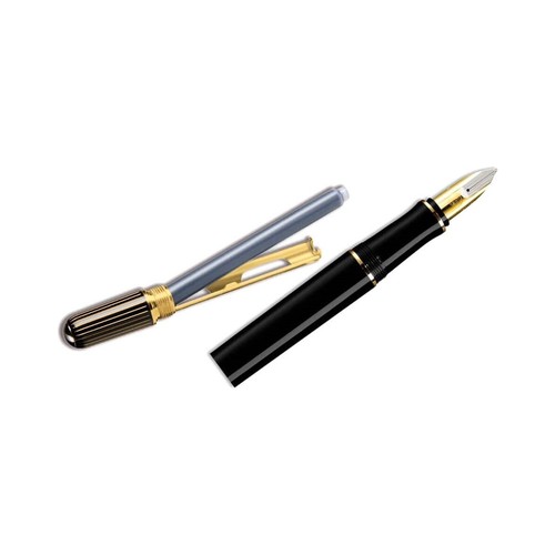 Pelikan p3110 ductus - ductus, fountain