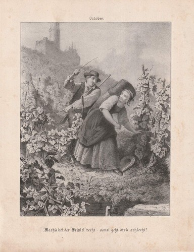 C1860 weinlese weinberg - weinlese, wein
