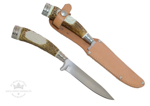 Kleines jagdnicker - kleines,