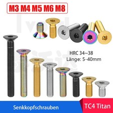 Titan Senkkopfschrauben