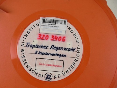 Tropischer regenwald - tropischer,