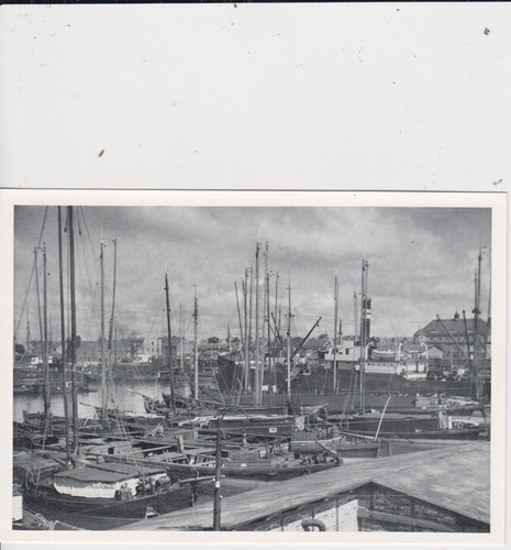 Postkarte repro ostgebiete - ak,