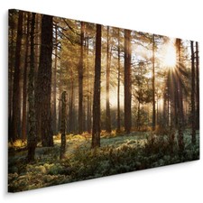 CANVAS Leinwand Bilder XXL
