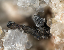 Silber gediegen Lockensilber  Stolln 7 Lauter Schwarzenberg   Erzgebirge Sachsen