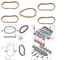 Ansaugkrümmerdichtung SET