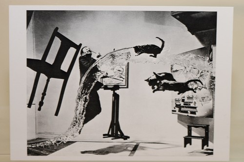 Salvador dali - salvador,