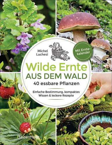 Wilde ernte aus dem wald - wilde, 40