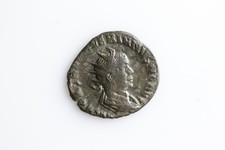Saloninus antoninianus - saloninus, ae
